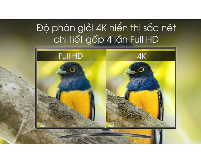 Image Smart Tivi LG 4K 43 inch 43UM7600PTA 3