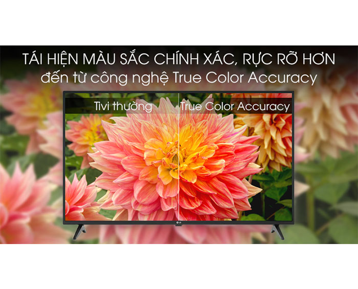 Image Smart Tivi LG 4K 55 inch 55UM7290PTD 1