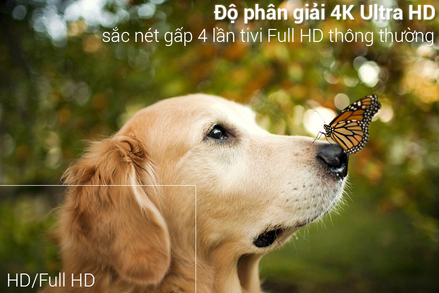 Image Smart Tivi LG 4K 49 inch 49UK6340PTF 1
