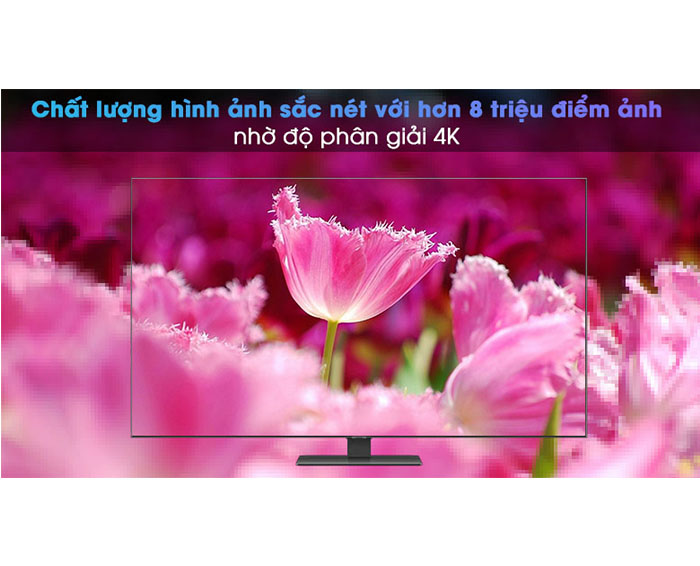 Image Smart Tivi QLED 4K 55 inch Samsung QA55Q80A 4