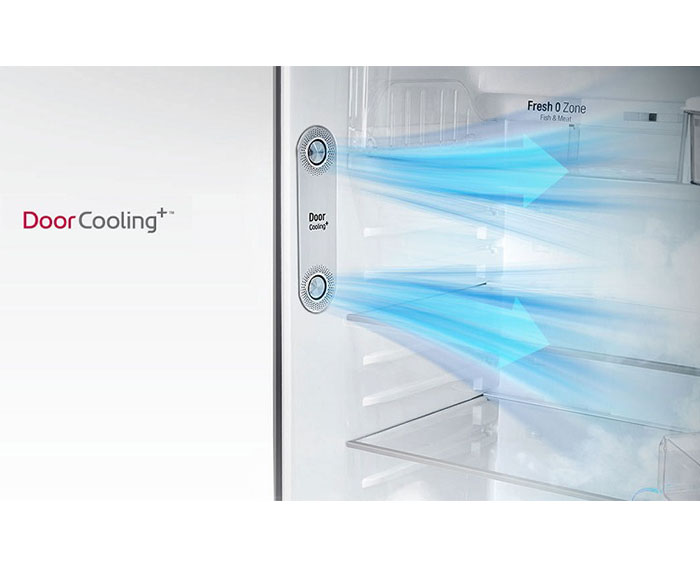 Image Tủ lạnh LG Inverter 255 lít GN-L255S 2
