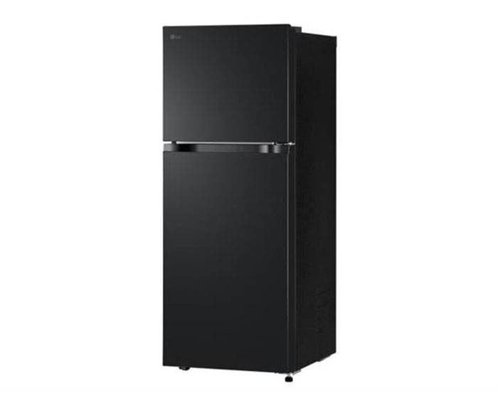 Image Tủ lạnh LG 217 lít LTB21BLMD 1