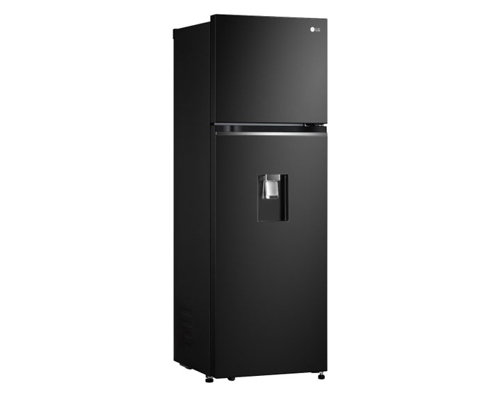 Image Tủ lạnh LG Inverter 264 Lít GV-D262BL 1