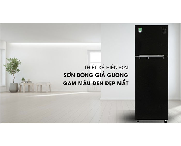 Image Tủ lạnh Samsung Inverter 256 lít RT25M4032BU/SV 1