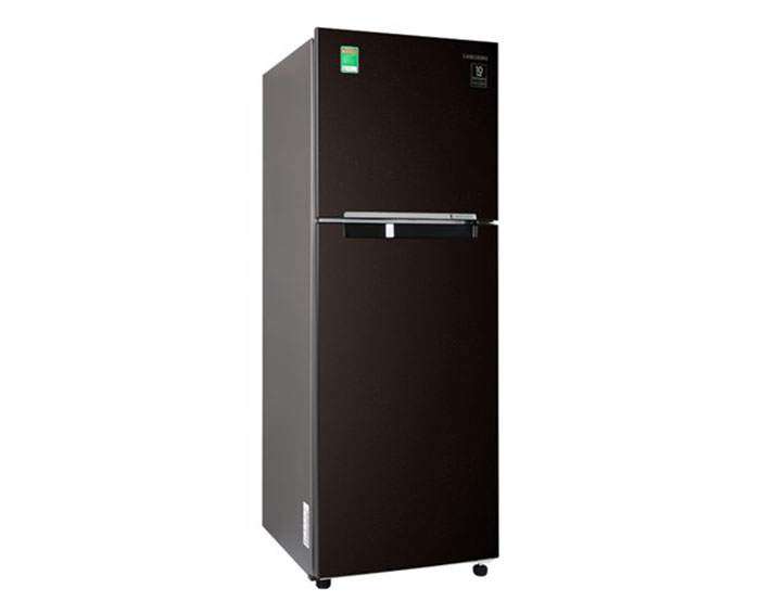 Image Tủ lạnh Samsung Inverter 236 lít RT22M4032BY/SV 2